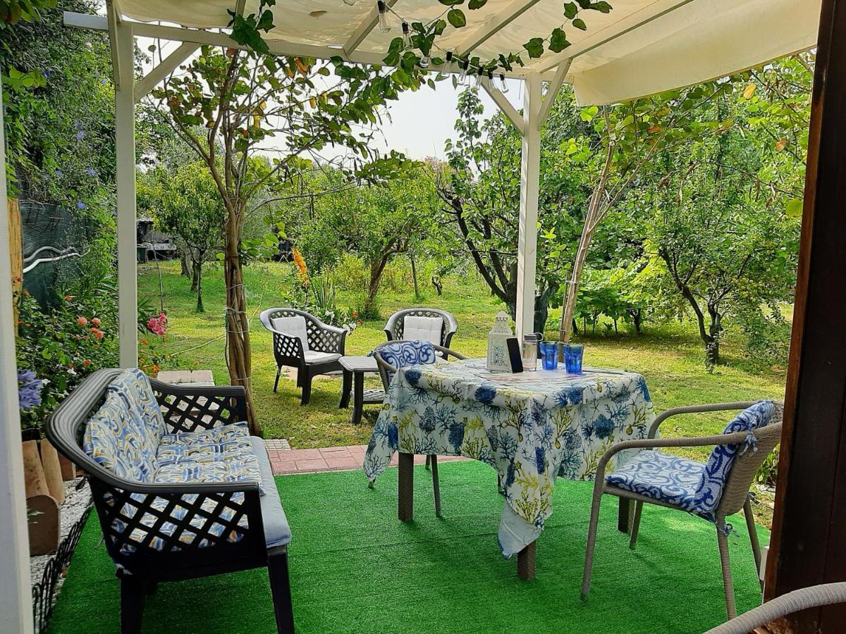 Tom E Jerry Bed & Breakfast ดอมุสเดมาเรีย ภายนอก รูปภาพ