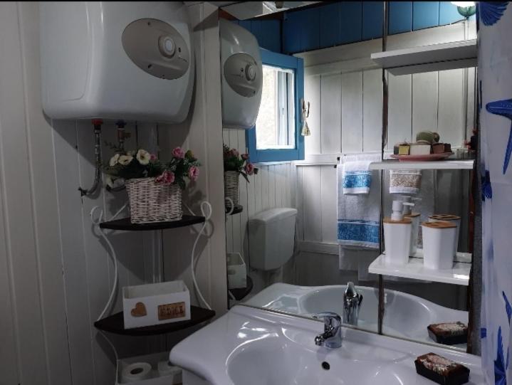 Tom E Jerry Bed & Breakfast ดอมุสเดมาเรีย ภายนอก รูปภาพ