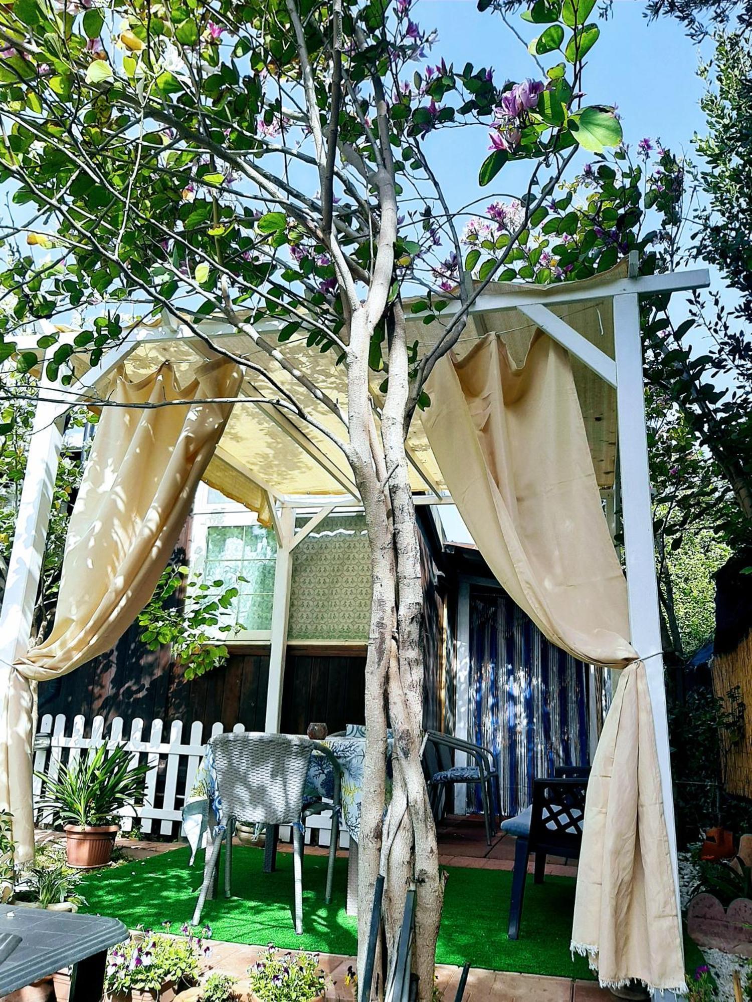 Tom E Jerry Bed & Breakfast ดอมุสเดมาเรีย ภายนอก รูปภาพ